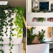 Design-forward ideas ways to incorporate a built-in planter in your home