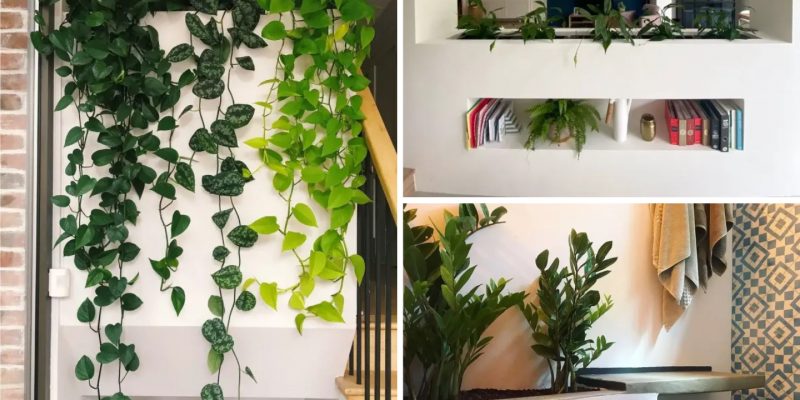 Design-forward ideas ways to incorporate a built-in planter in your home