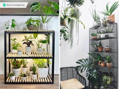 Shelf choices for your indoor plants display