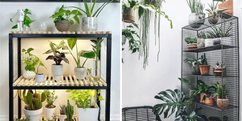 Shelf choices for your indoor plants display