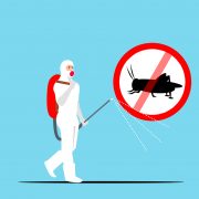Insect-control-6739060_1280