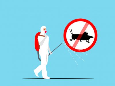 Insect-control-6739060_1280