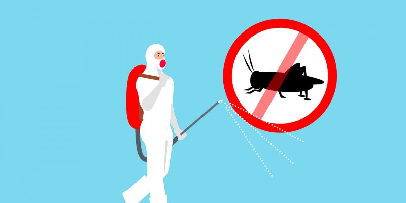Insect-control-6739060_1280