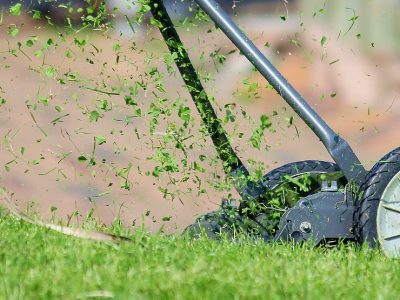 Lawn-mower-938555_1280