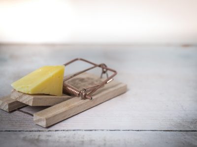 Mouse-trap-2846147_1280