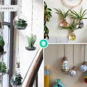Bulb recycle the effort to reduce waste