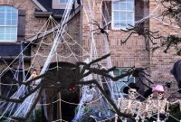 Halloween spider web2