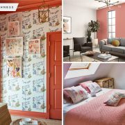 Spice up the decoration with coral hue application
