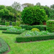 Istockphoto-1302954261-612x612