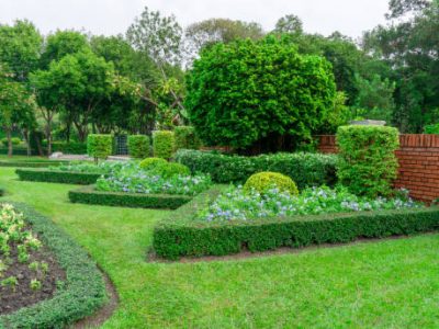 Istockphoto-1302954261-612x612