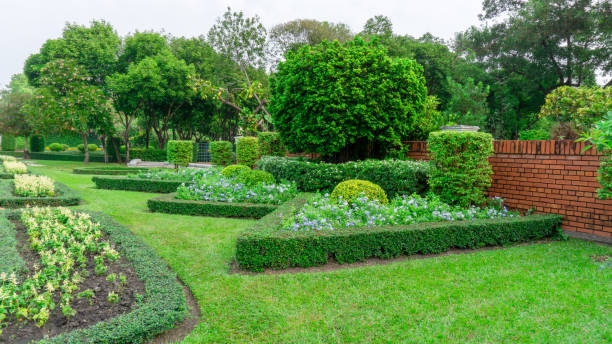 Istockphoto-1302954261-612x612