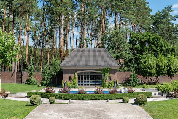 Pasted image 0