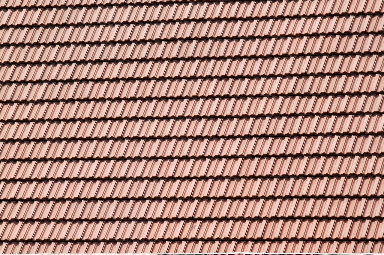Pasted image 0 (8)