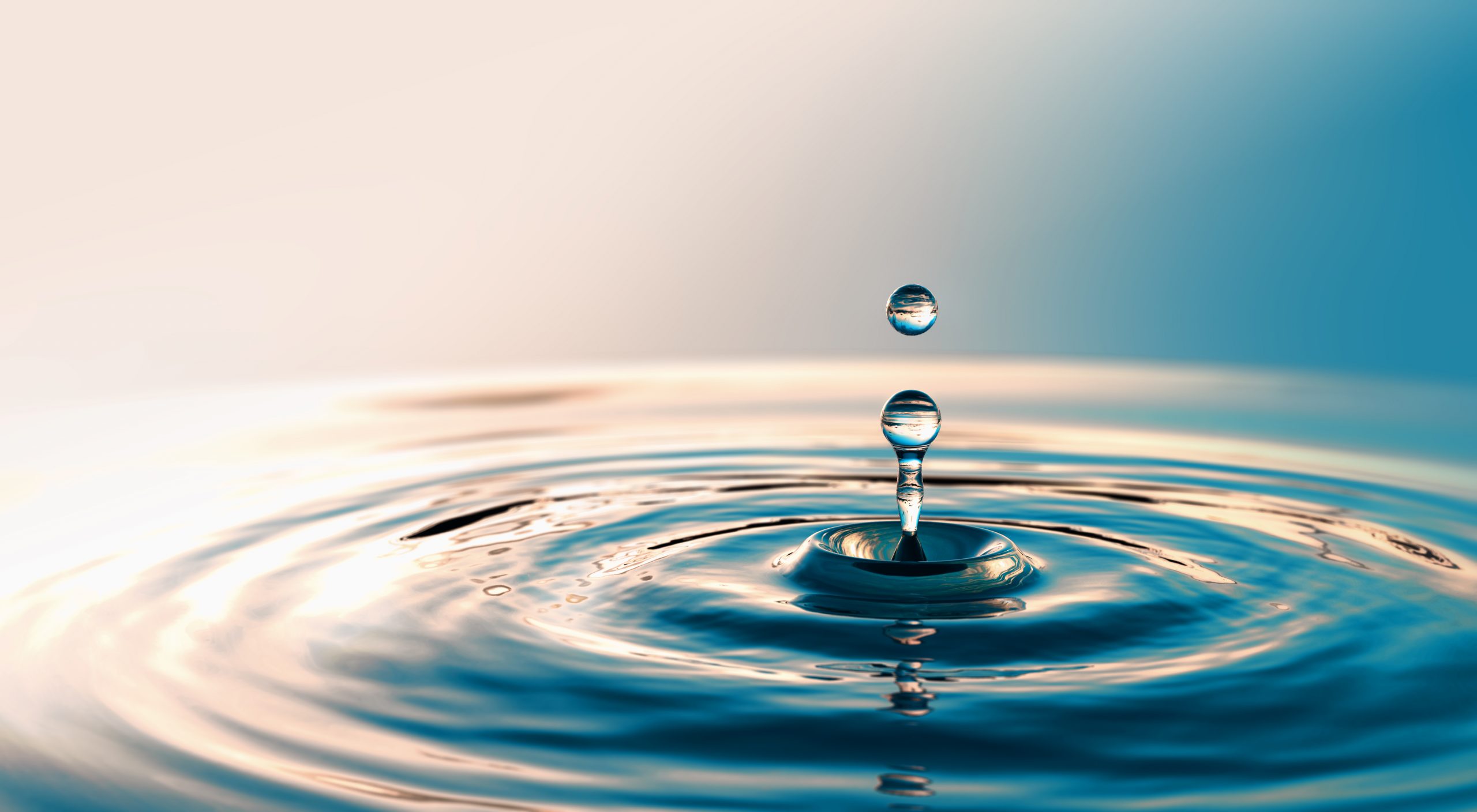 Clear water drop with circular waves