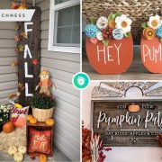 Autumnal delights capturing the beauty of fall with creative fall sign ideas