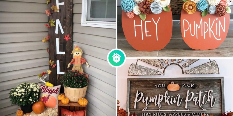 Autumnal delights capturing the beauty of fall with creative fall sign ideas
