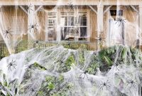 Spider webs 1