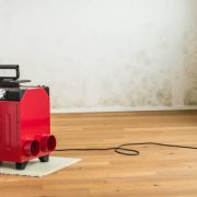 Istockphoto-876568654-612x612