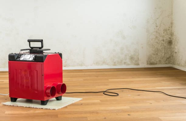 Istockphoto-876568654-612x612