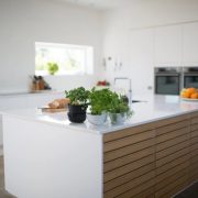 Pasted image 0 (4)
