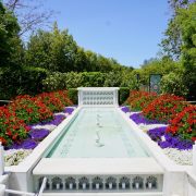 Taj_palace_petrus_luxury_landcape_design_company_project (2)