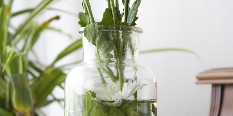 Flowers-1246051_1280