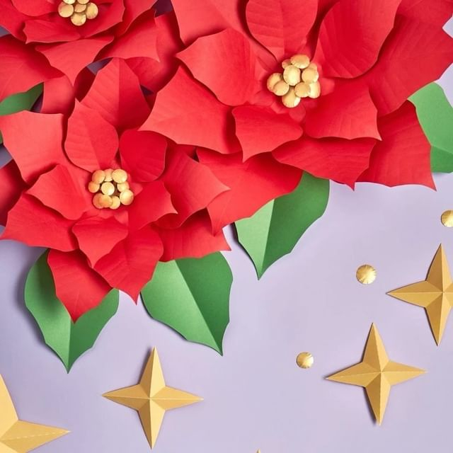 Snapinsta.app_411733859_691716299771734_3351138675037240980_n_1024
