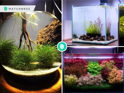 12 best designs for your small aquarium set up