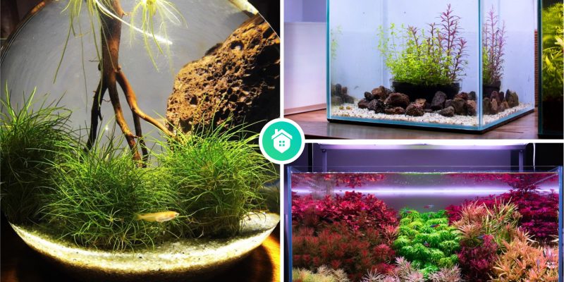 12 best designs for your small aquarium set up