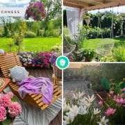 8 effortless tips for a flourishing terrace garden