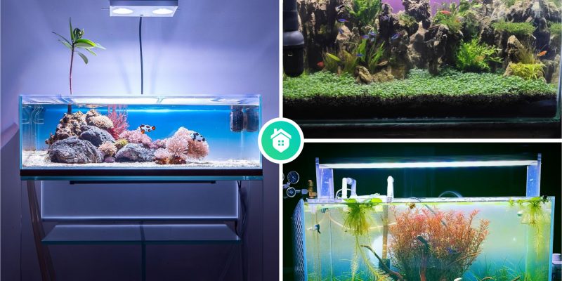 9 creative fish tank theme ideas for your aquatic oasis