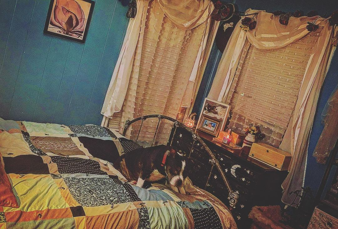 Snapinsta.app_350104576_1435289833982923_5534619763648652009_n_1024