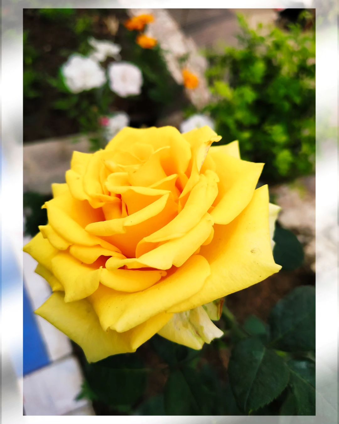 Snapinsta.app_418056791_387883857143770_6657101184511870530_n_1080