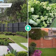 9 kinds of border fence for your garden landscape