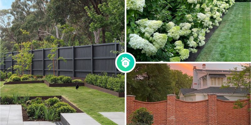 9 kinds of border fence for your garden landscape
