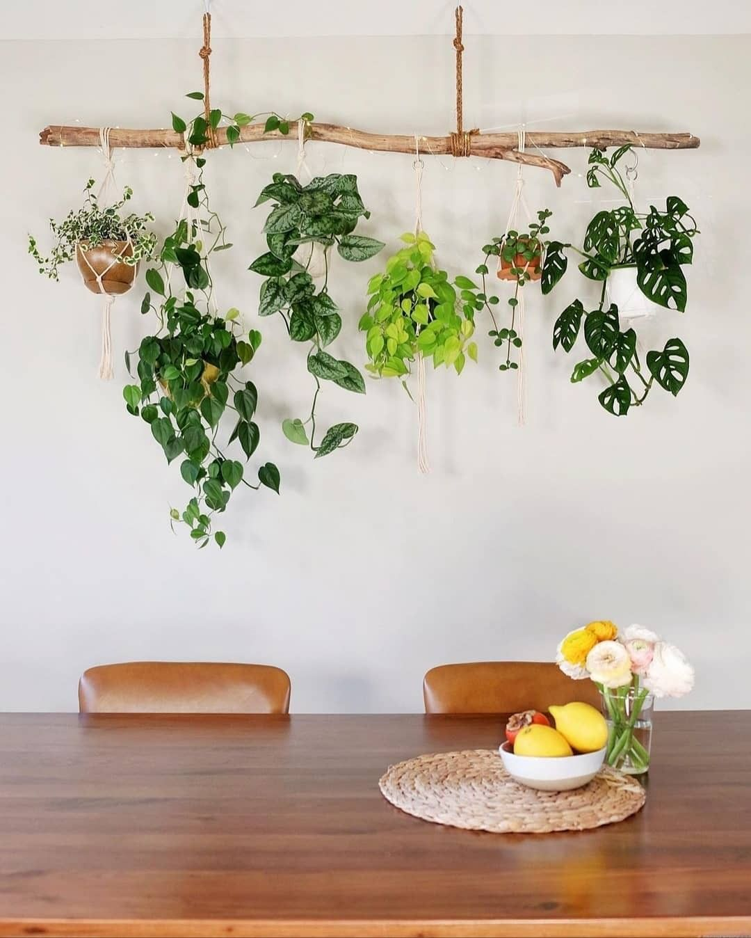 Greenery project