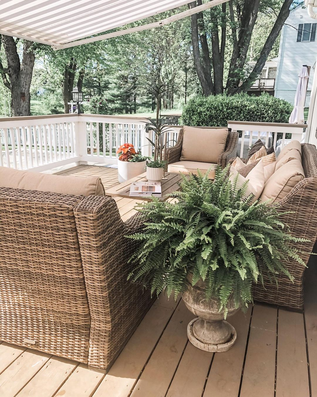Fern plants for deck decor