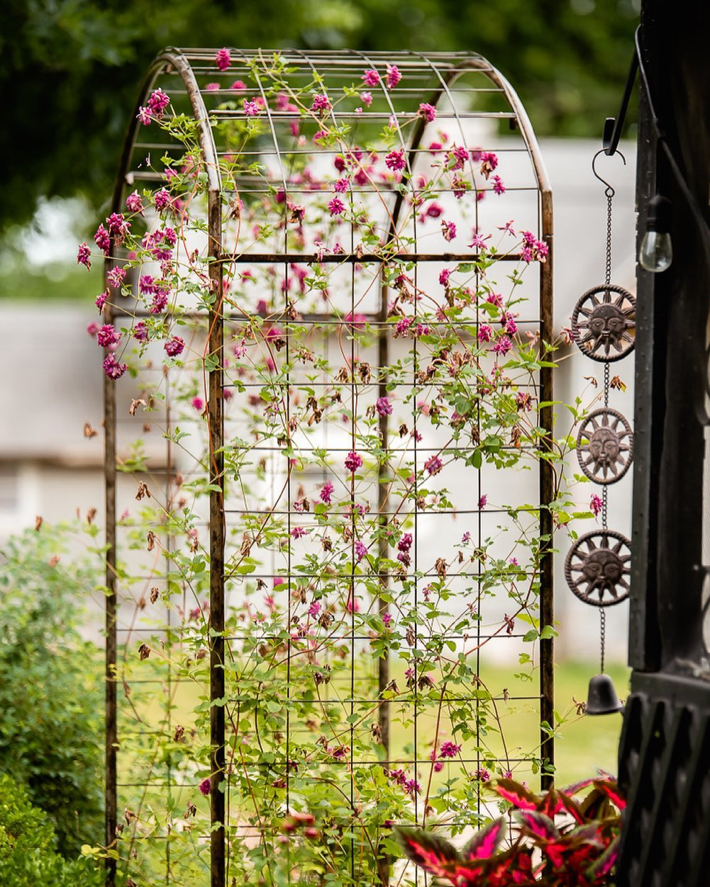 This pretty garden trellis can really possibly be made with your own hands.