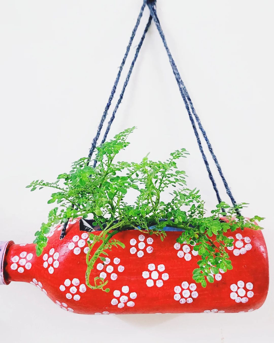 The bottle can be easy to be shaped into varied pot design especially the plastic bottle.