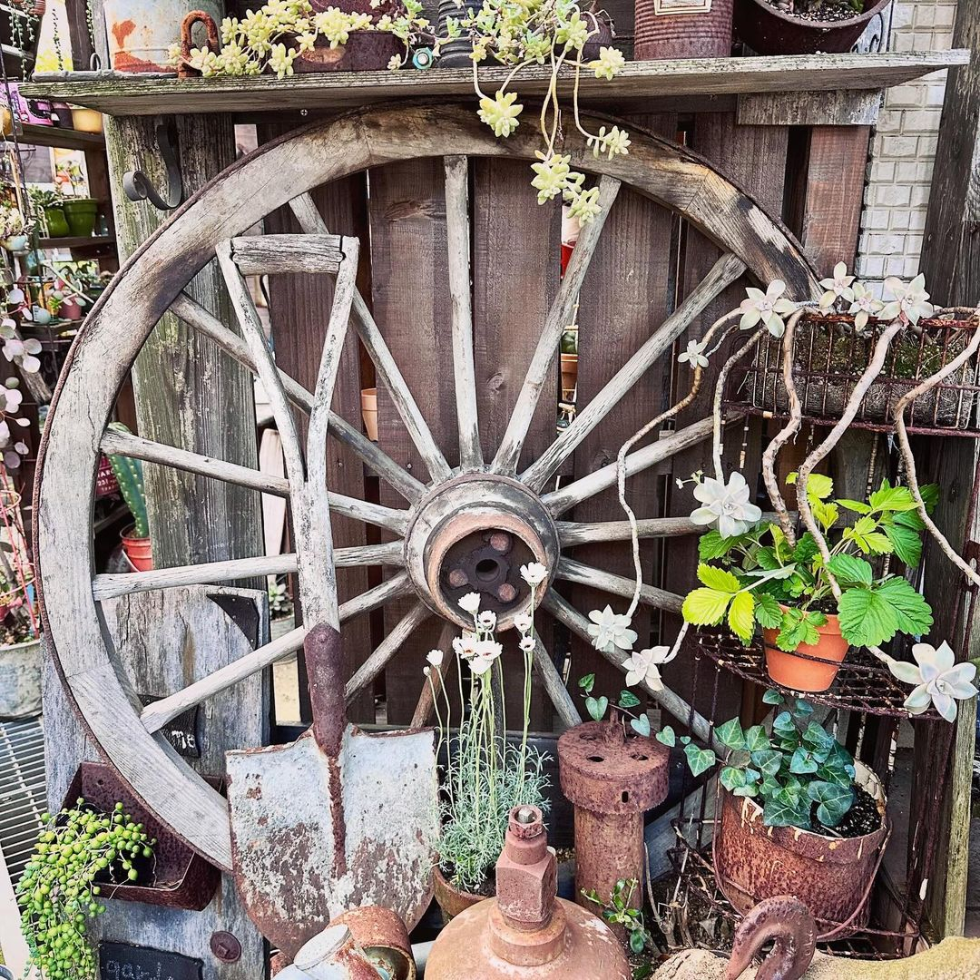 Look at how dramatic this old cart wheel can be when being used to decorate the junk garden.