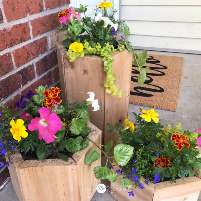 DIY planter