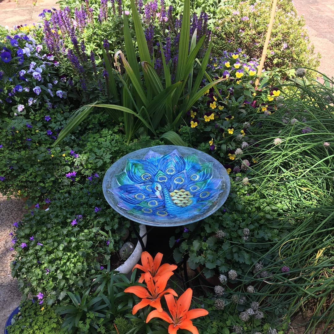 Adding bird bath to the garden