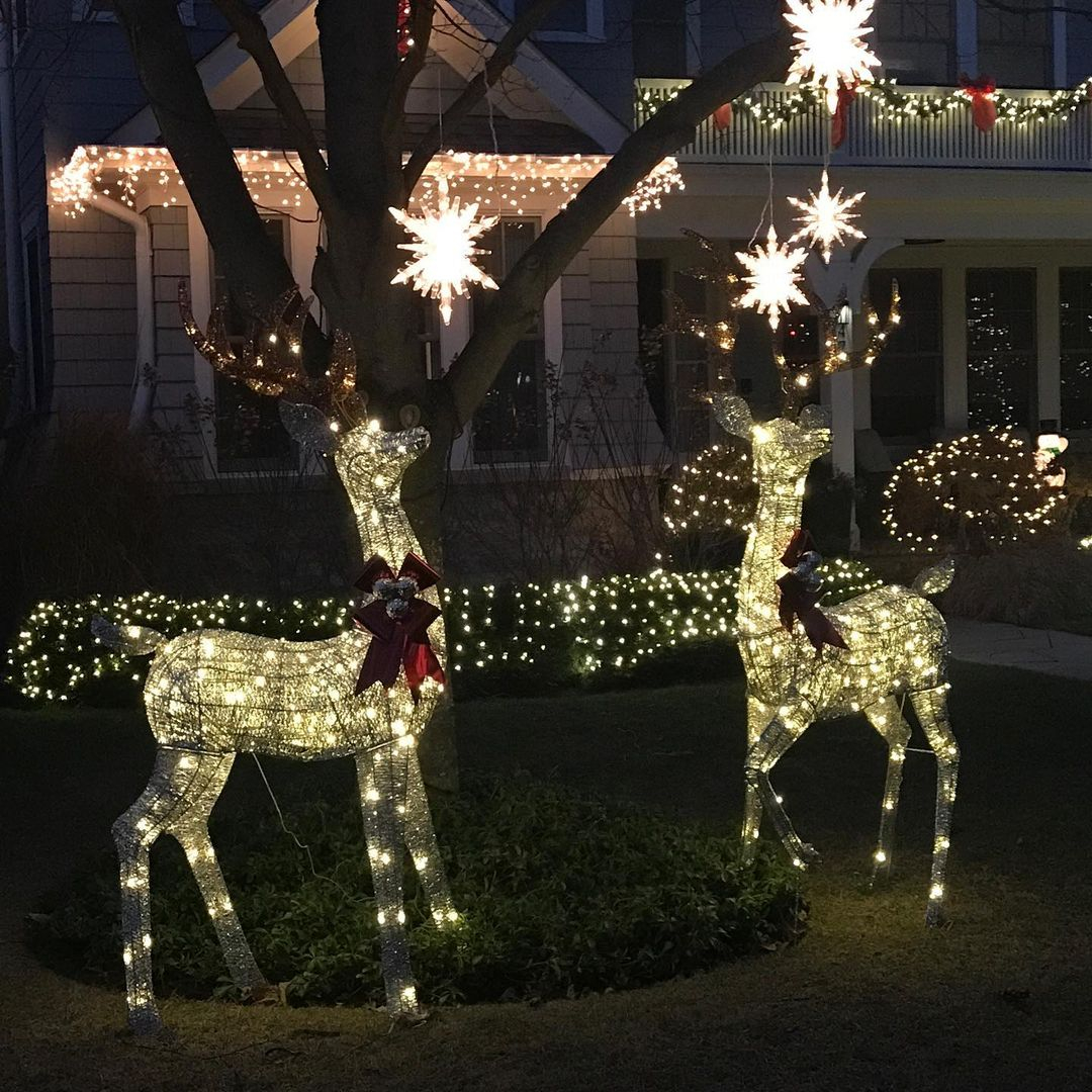 The snowflake is installed on the tree. It makes the outdoor area to be seen as shining and stand out.