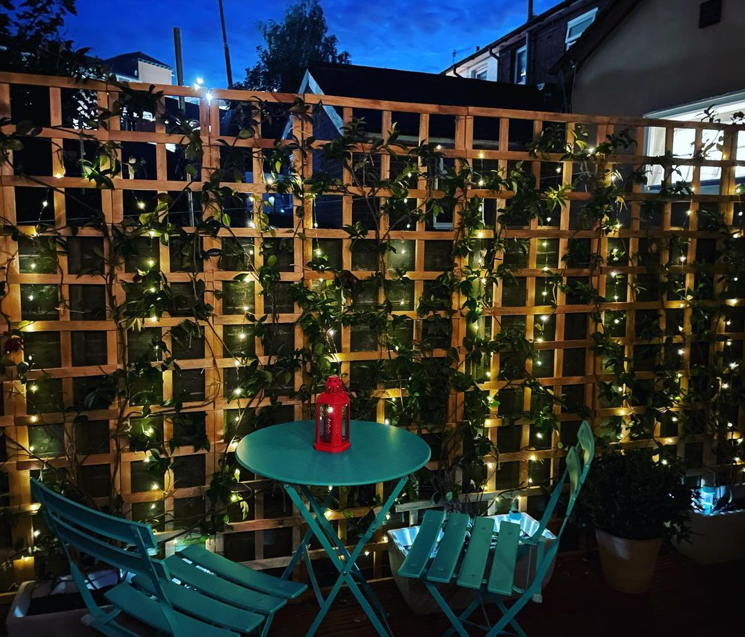Garden fairy lights on the trellis