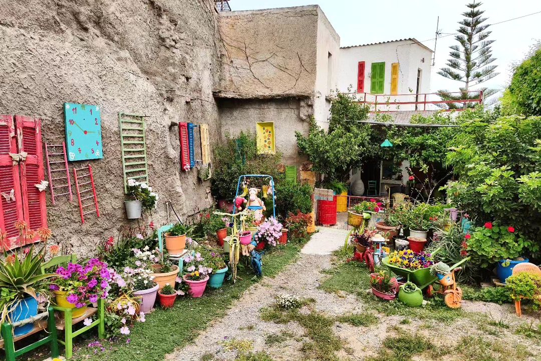 Vibrant flower pots