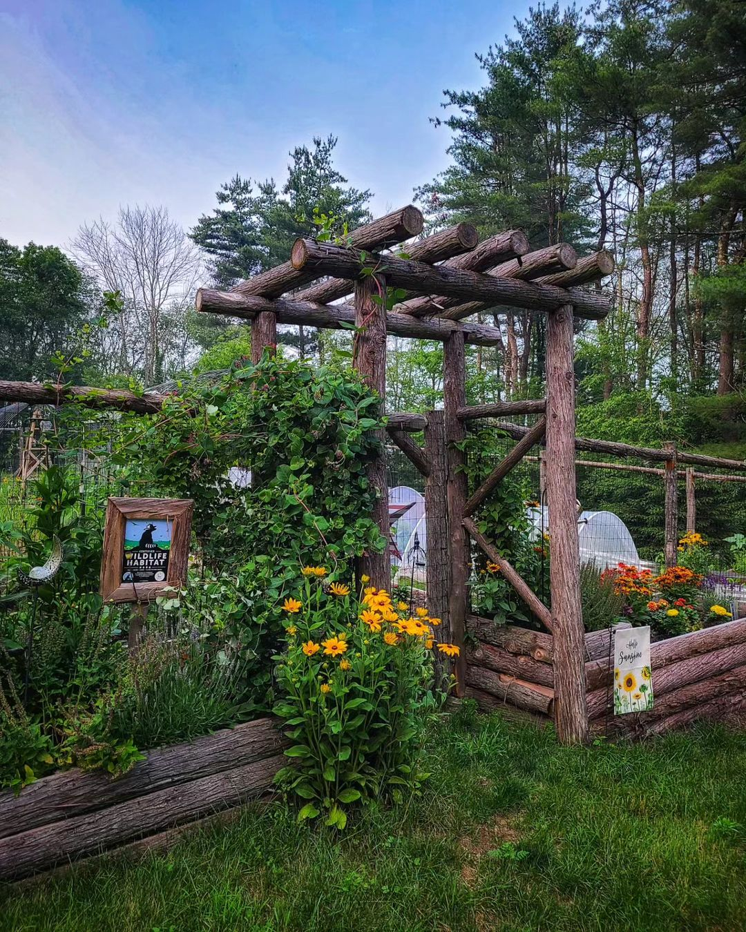 The wood that is used in this garden is the natural one without any additional finishing.