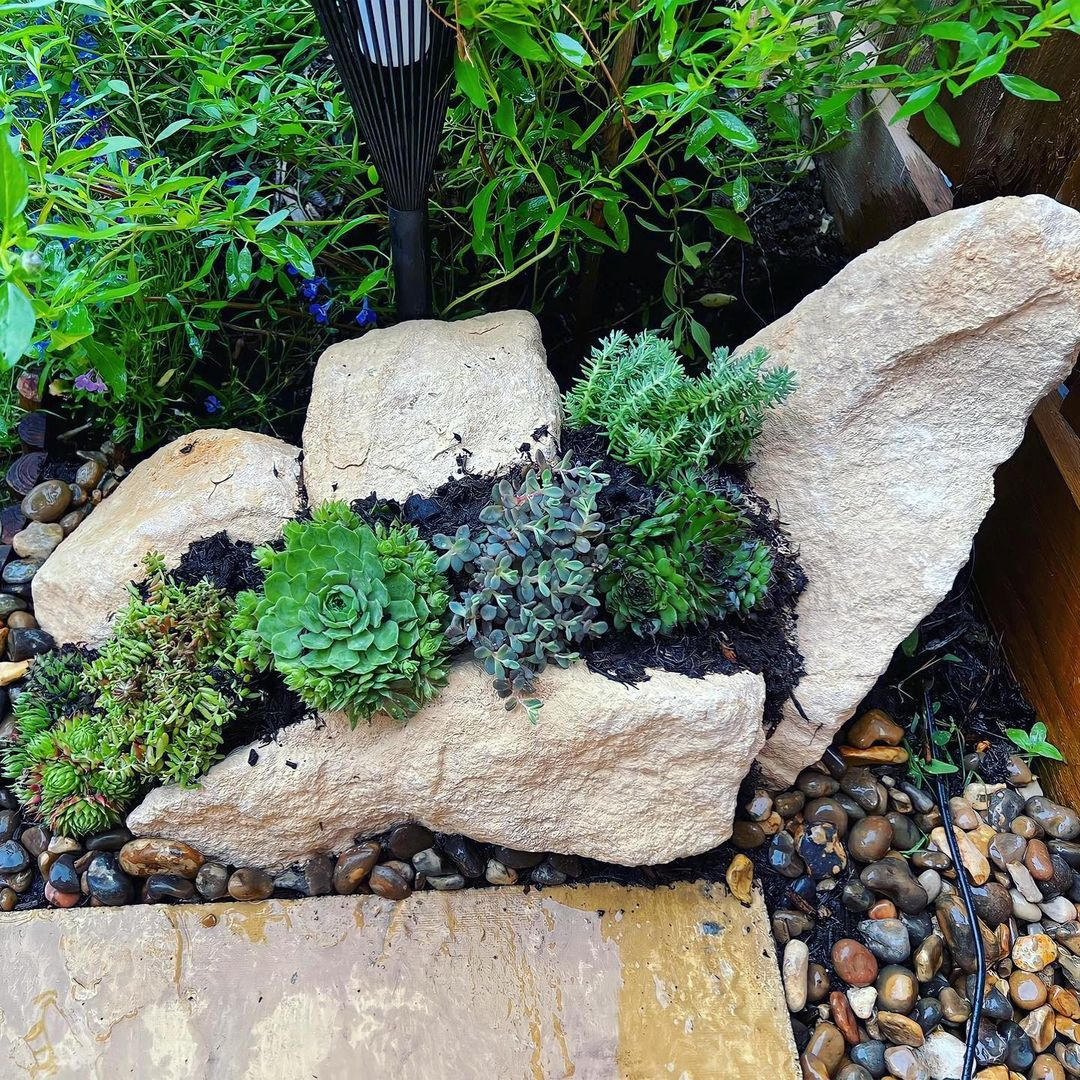 Mini rock garden