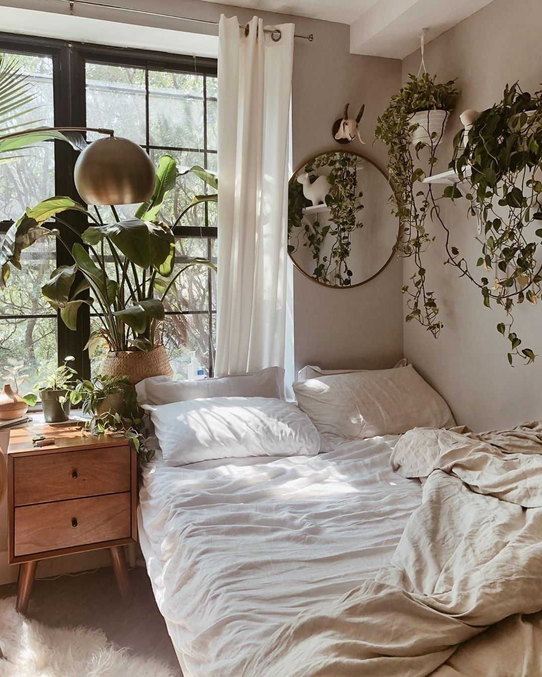 In a small home, you can put the greenery on the window or table. It is better for you not to put it on the floor because it will need more space.