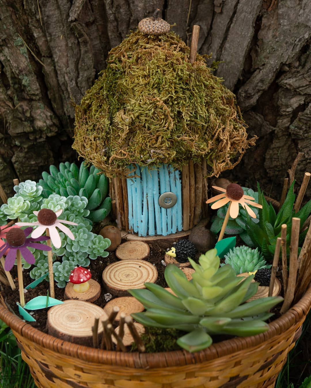 It is interesting how this fairy garden has different plants and different placement based on its function.