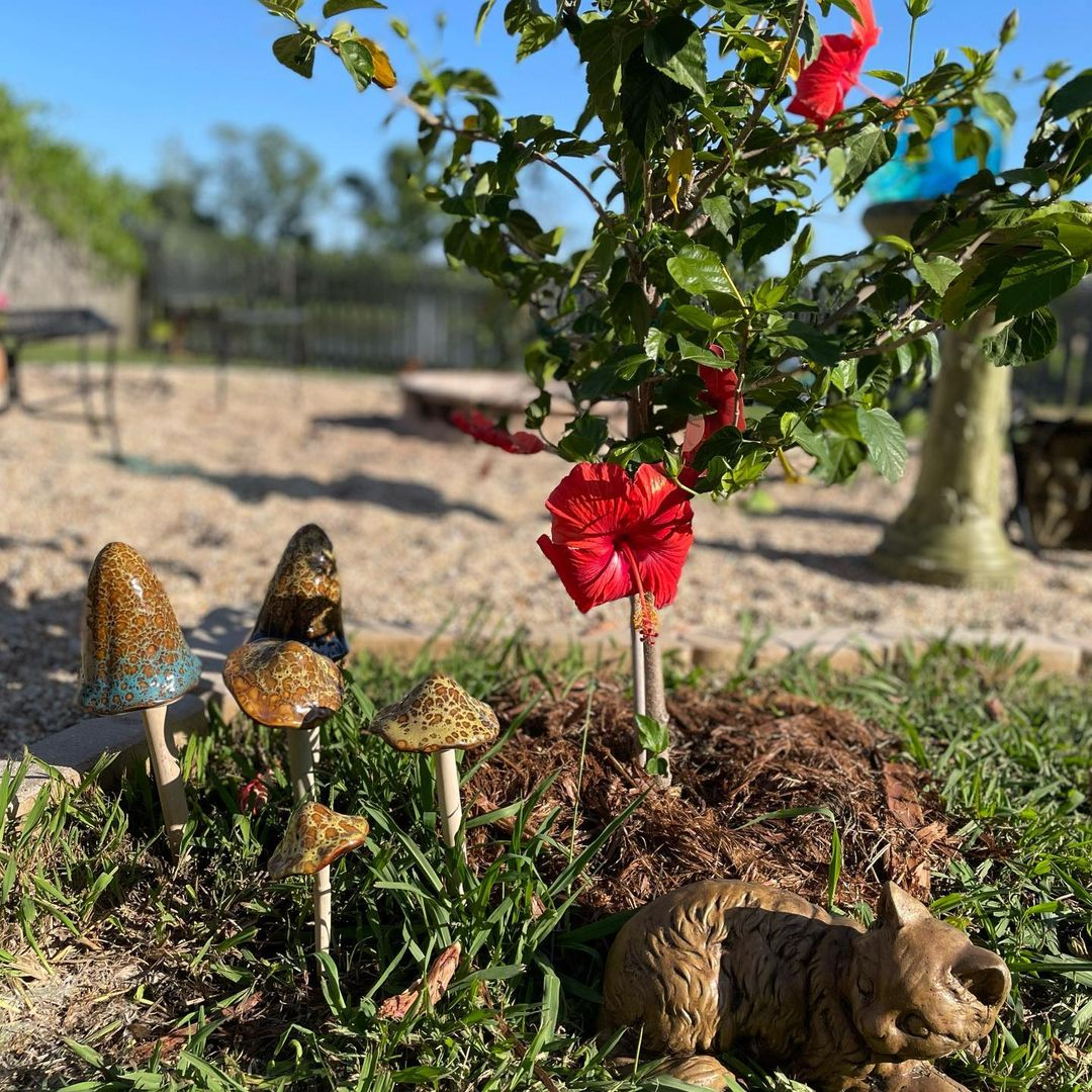 This garden has a cute cat statue. Then, look at the ceramic mushroom that completes the decoration.